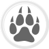 Currency icon
